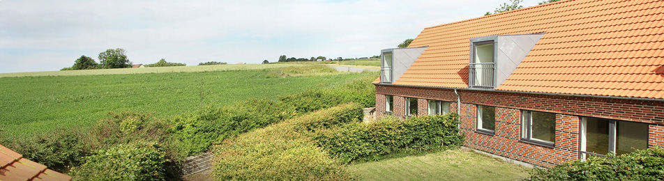 Skøn natur i baghaven